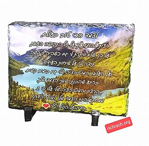 ��� ����� ���� ����