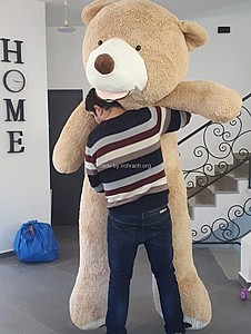 ���� ������� 2.60 �"�