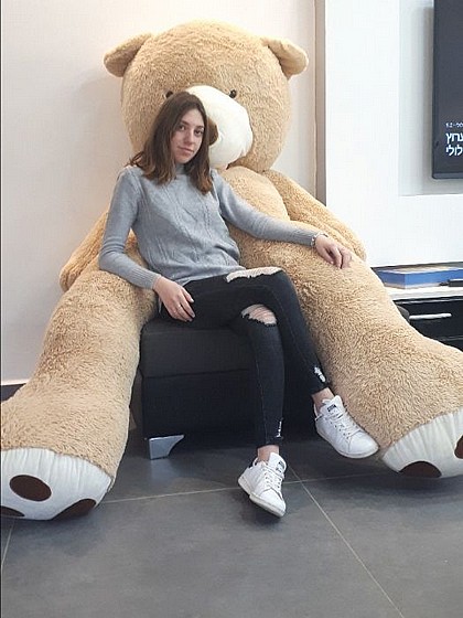 ���� ������� 2.60 �"�