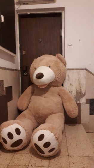 ���� ������� 2.60 �"�