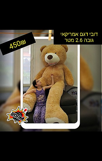 ���� ������� 2.60 �"�
