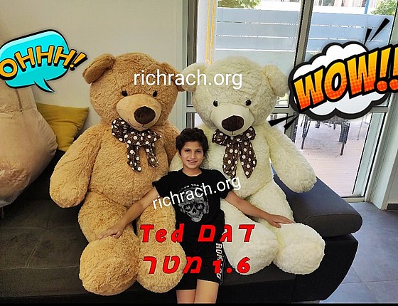���� ��� 1.6 ��� ���  TED