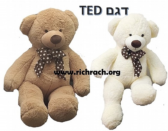 ���� ��� 1.6 ��� ��� TED