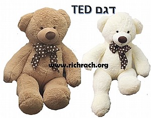 ���� ��� 1.6 ��� ��� TED