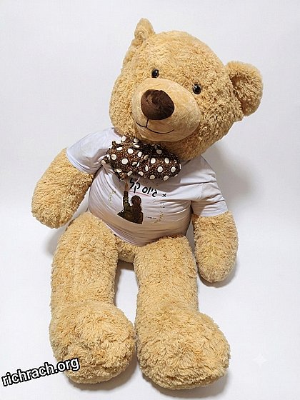 ���� ��� ��� 1.6 ��� ���  TED
