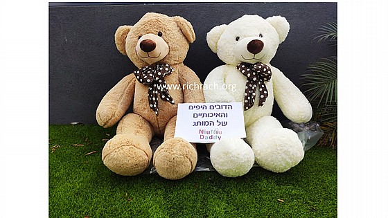 ���� ��� 1.6 ��� ��� TED