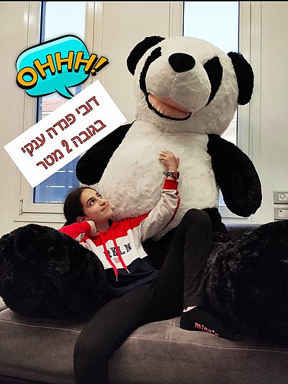 �� ���� ���