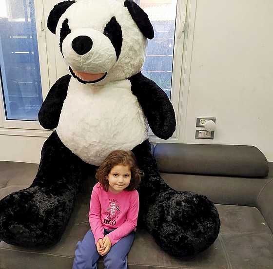 �� ���� ���