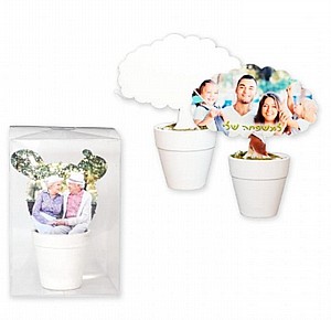 ���� ������ ����� �� �� �����