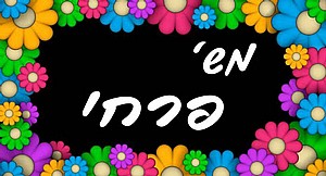 שלט לדלת 004 שלט לדלת 004