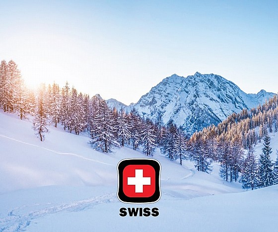 ���� ����� ������� ������ ���� ������ ���� ����� SWISS