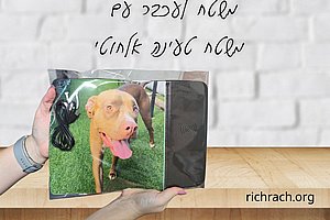 משטח לעכבר משולב במשטח טעינה אלחוטית בעיצוב אישי משטח לעכבר משולב במשטח טעינה אלחוטית בעיצוב אישי