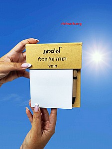 ���� ����� - ���� ��� ������ �� ��, ������ ���� ���