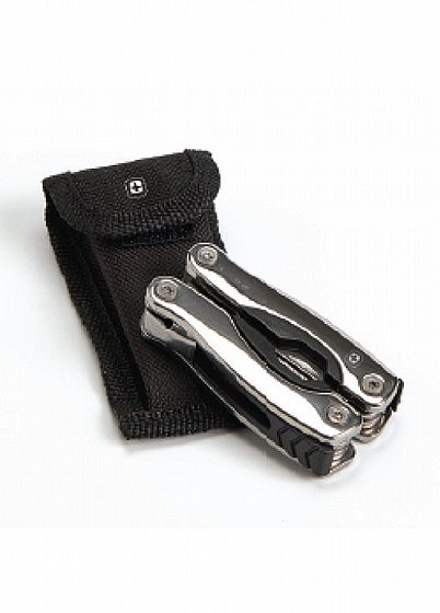 ���� ���� �������� ���� SWISS 