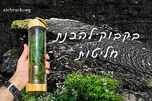 בקבוק איכותי לחליטת תה ומיתוג אישי בקבוק איכותי לחליטת תה ומיתוג אישי