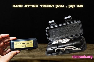 ���� ��� ��� ������ ������ ���� ������ �����