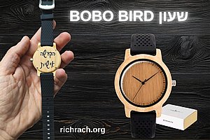 ���� �� ���� ���� BOBO BIRD �� ����� ��� ����� 