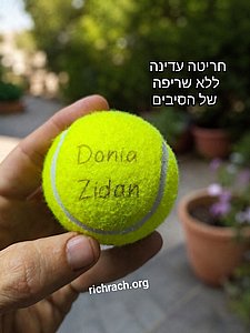 ���� ���� �� ����� ����� ������