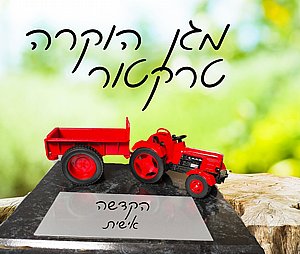 ��� �����  ������- ���� ����� 