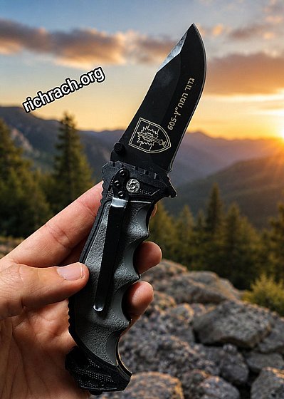 ���� ������ ����� ������ ���� SWISS ���� ���� - ��� � 15 ������