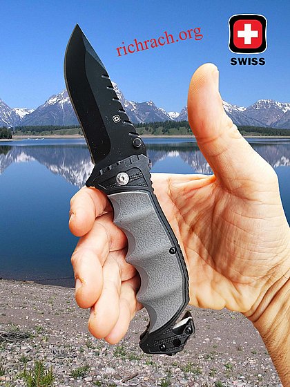 ���� ������ ����� ������ ���� SWISS ���� ���� 