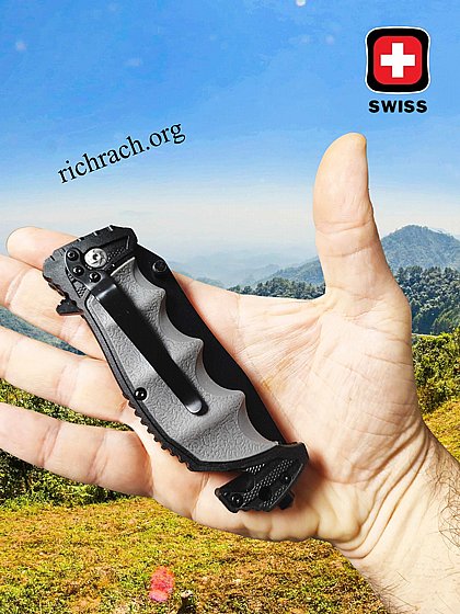 ���� ������ ����� ������ ���� SWISS ���� ���� 