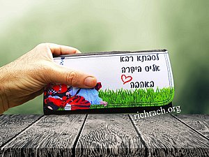 ���� ����� ������ ����