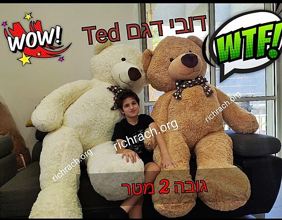 ���� ��� ��� TED  ���� 2 ���