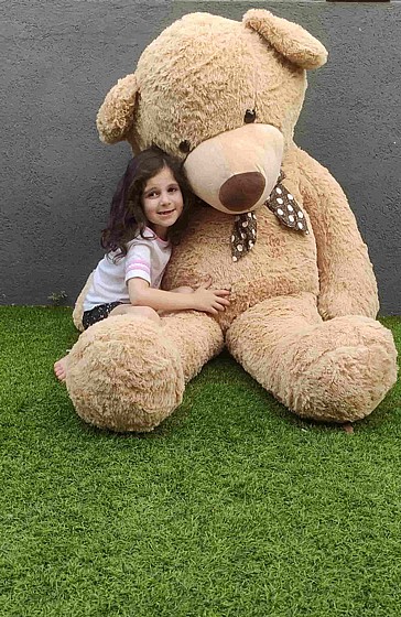 ���� ��� ��� TED  ���� 2 ���
