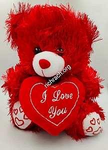 ���� ����� �� 30 �"�