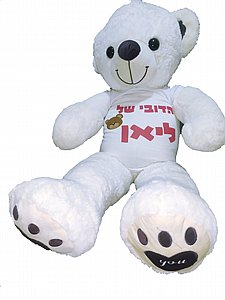 ���� ���� �� ����� ����� 