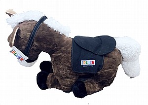 ���� ����� ��� 