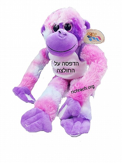 ���� ��� ������ �������