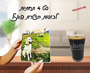 ������ ������ ����� ���� (4 ������)