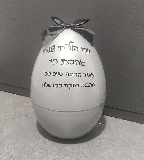 ���� ����� ����� - ������ ����