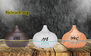 ���� ��� ������ ���� �� ����� ����